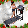 Treadmill TMS 900 DS