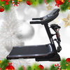 Treadmill TMX 918 DS